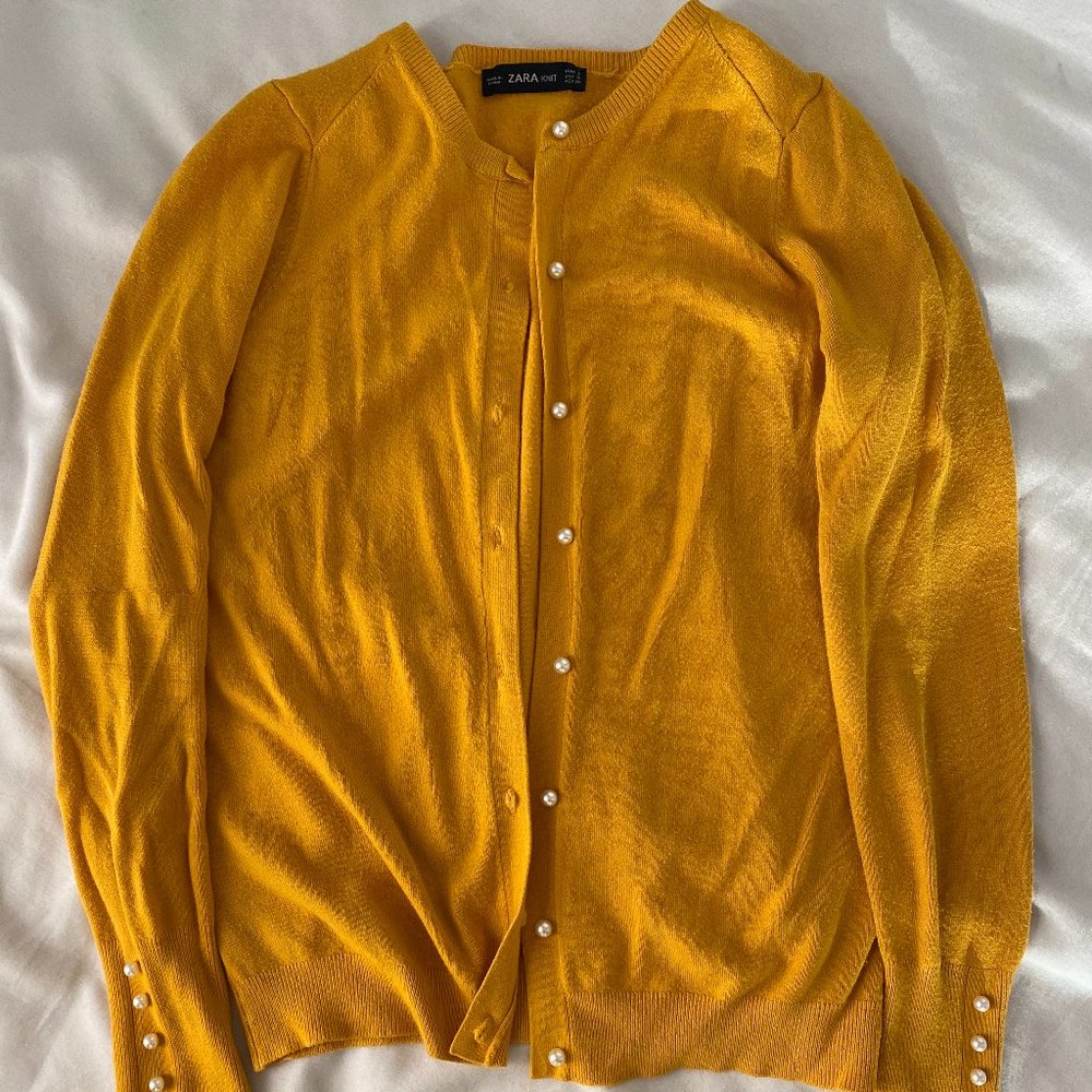 Zara Cardigan